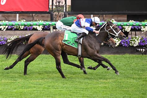 Empire Rose Stakes .